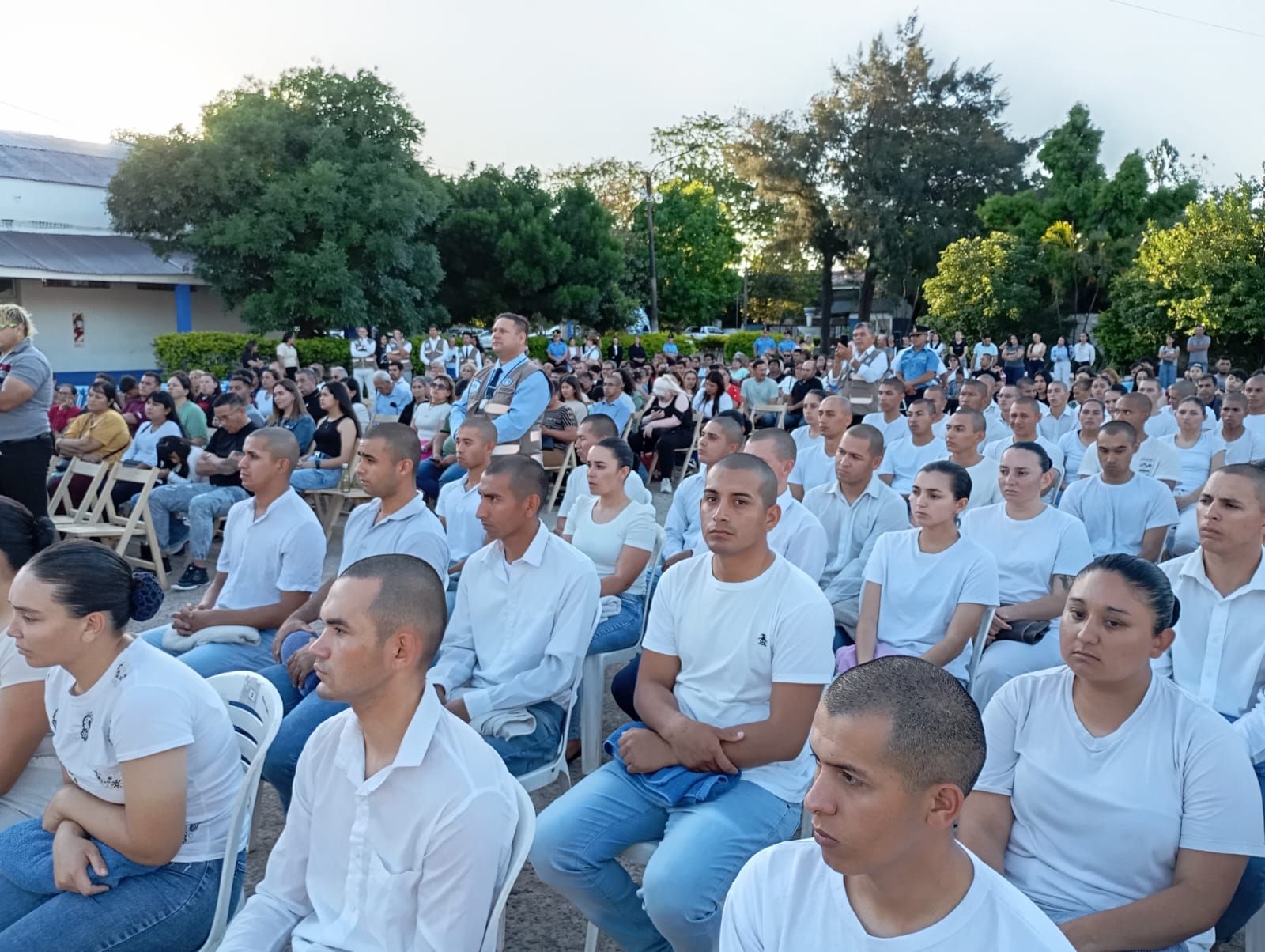 Galería Fuerzas 2