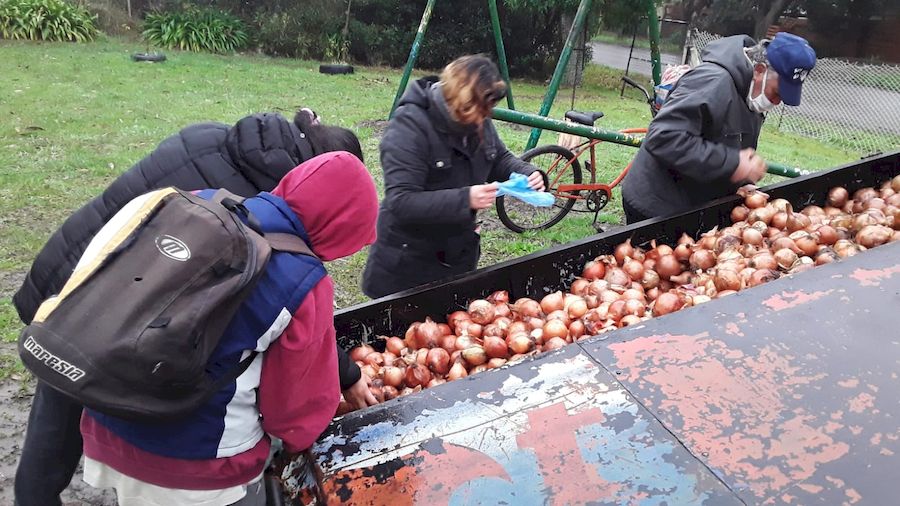 Actividad Campo 3